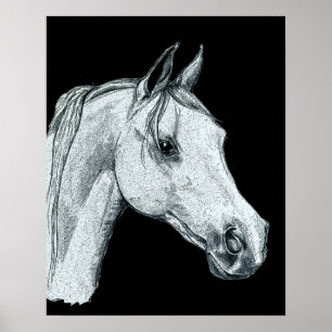Poster Croquis d'encre de cheval arabe