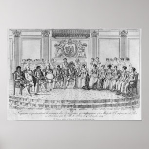 Poster Croquis dépeignant le napoléon I et les sovereigns