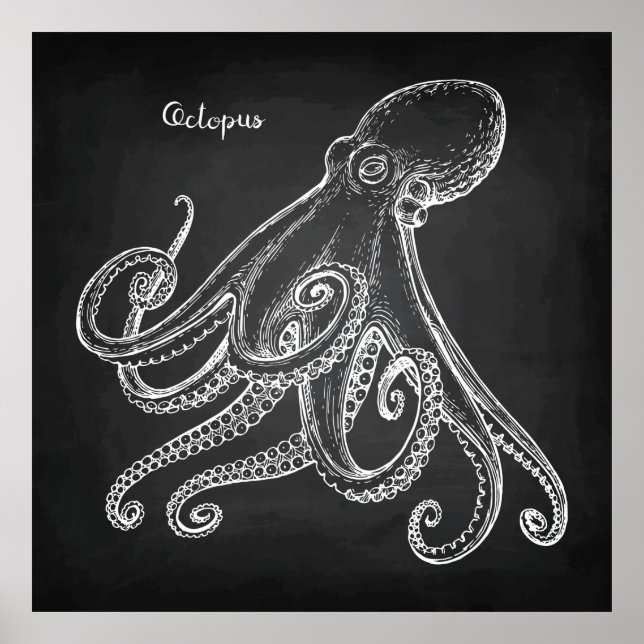 Poster Croquis d'octopus (Devant)