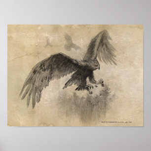 Poster Croquis Great Eagles