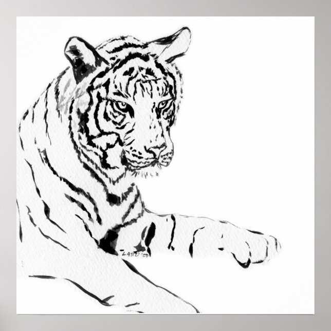 Poster Croquis noir et blanc sur tigre (Devant)