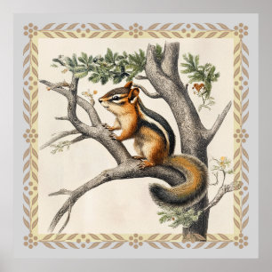 Poster Croquis vintage de Chipmunk pour les amoureux de l