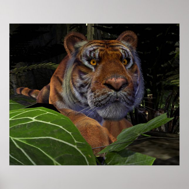 Poster Crouching des tigres dans la jungle (Devant)