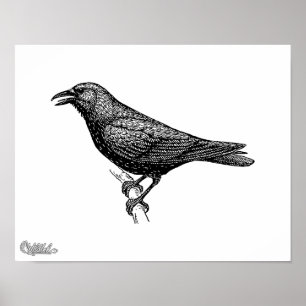 Poster Crow Bird Art