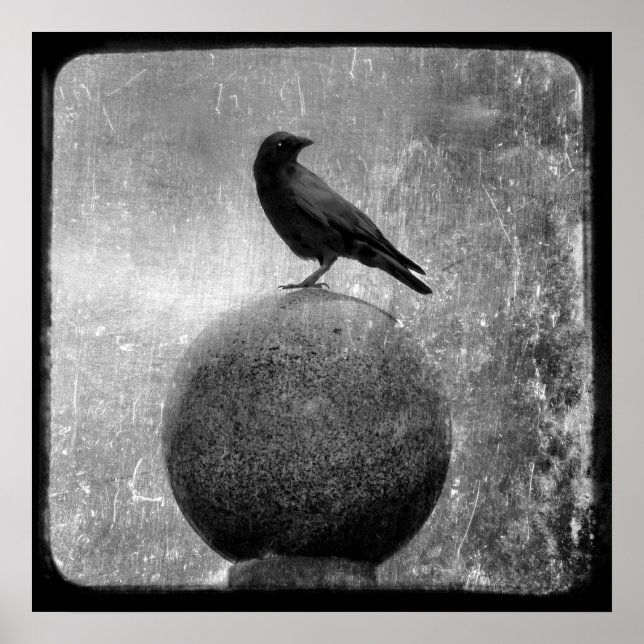 Poster Crow magique (Devant)