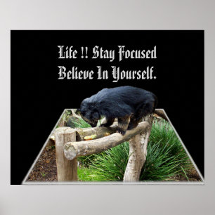 Poster Croyez En Vous-Même Message Avec Bearcat,