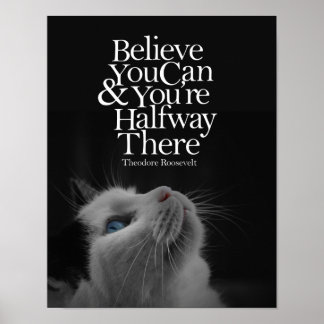 Poster Croyez Que Vous Pouvez Beau Cat Citation Motivatio
