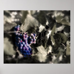 Poster Crush au vignoble principal de Tefft Cellars