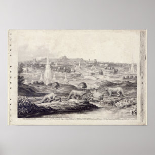 Poster Crystal Palace