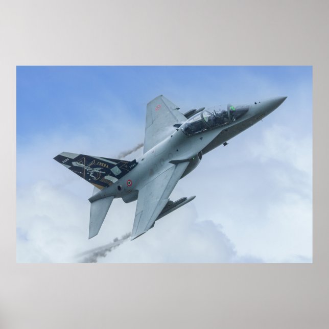 Poster CSX7352 F-2000A 36 Hommage du centenaire de Stormo (Devant)