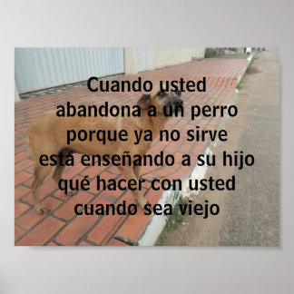 Poster cuando chassé abandona un perro