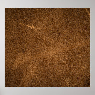 Poster Cuir Brown vieilli : Texture classique