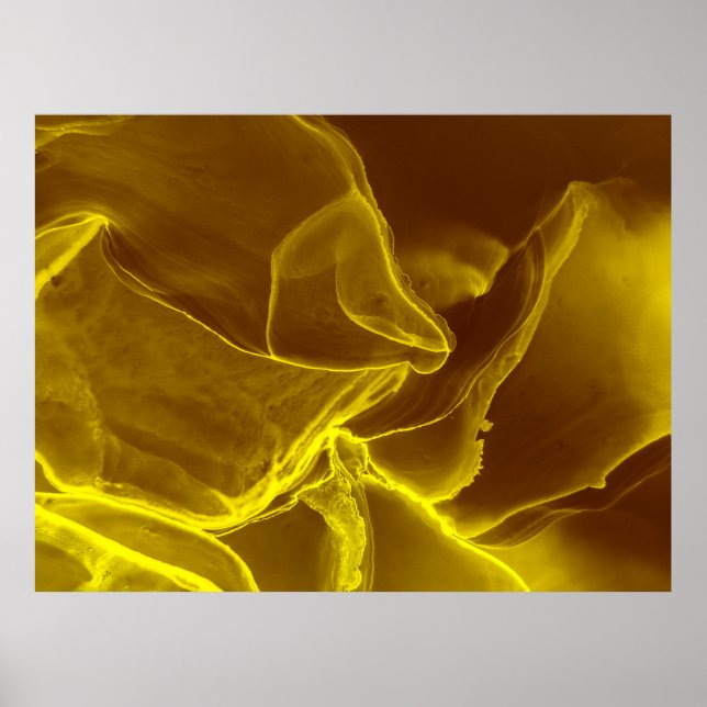 Poster Cuir rouge, texture (Devant)