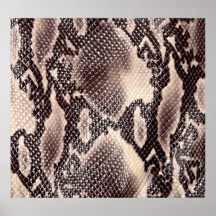 Poster Cuir serpent : texture brune transparente