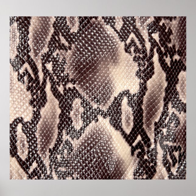 Poster Cuir serpent : texture brune transparente (Devant)