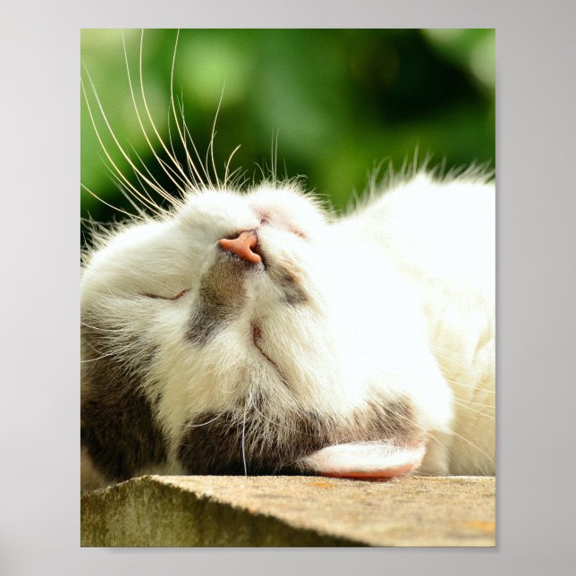 POSTER CUISINE DE NAPPING (Devant)