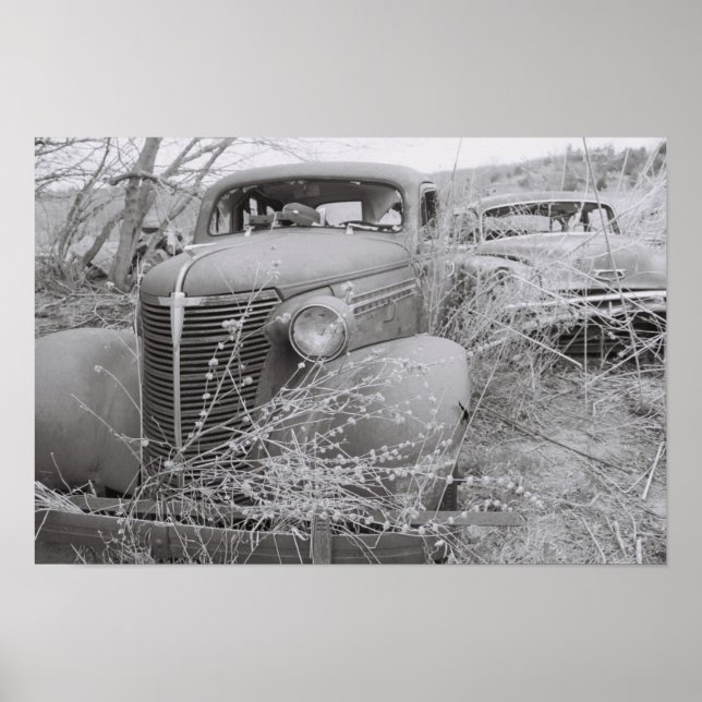 Poster cultivé (Devant)