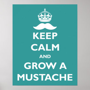 Poster Cultiver une moustache