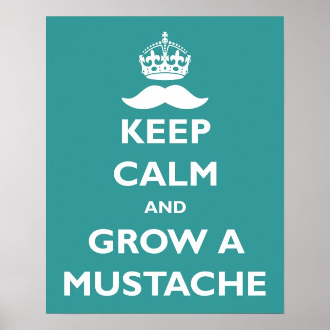 Poster Cultiver une moustache (Devant)