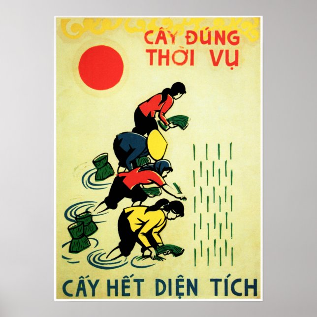 Poster Cultivons le riz La propagande agricole du Vietnam (Devant)