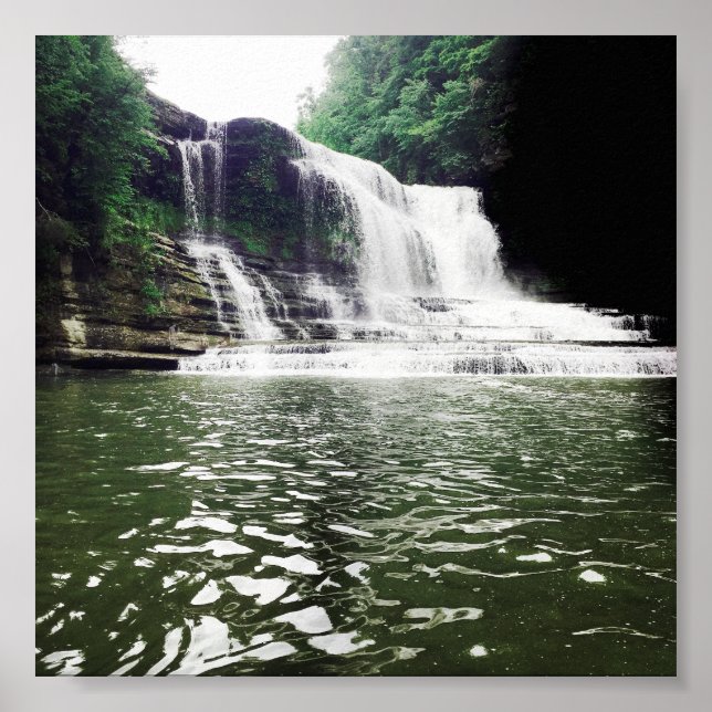 Poster cummins (Devant)