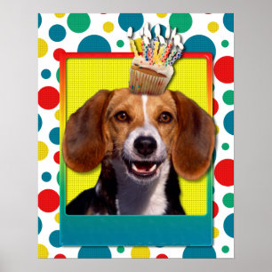 Poster Cupcake d'anniversaire - Beagle