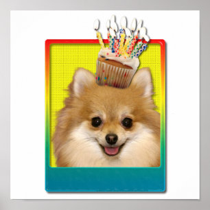 Poster Cupcake d'anniversaire - Pomeranian