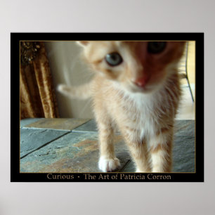 Poster Curieux
