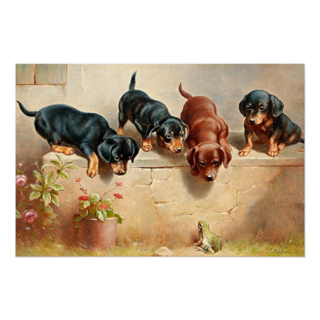 Poster Curieux Chiots Dachshund et une grenouille (Devant)
