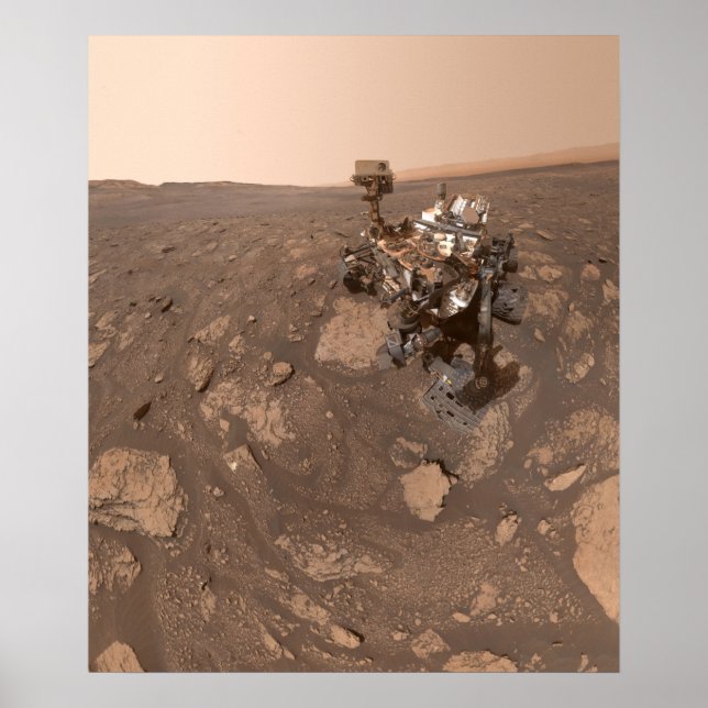 Poster Curiosity's Selfie au Mary Anning (Devant)
