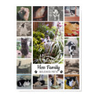 Custom Design Hess Family Pets