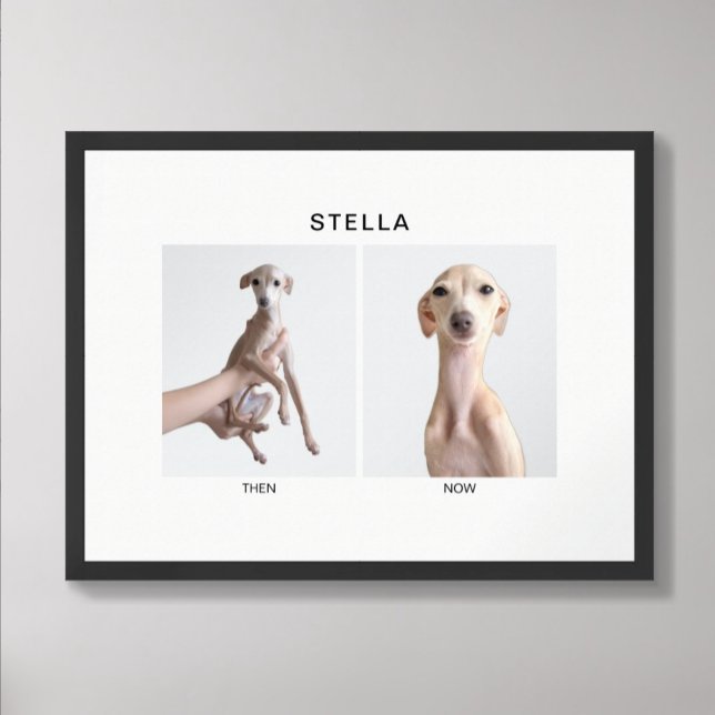 Poster Custom Pet Portrait | Then and Now (Créateur téléchargé)