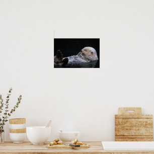 Poster Cute Bathing Sea Otter Photographic