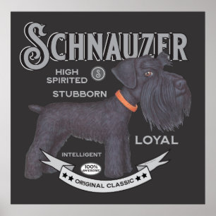 Poster Cute Black Schnauzer