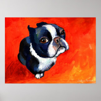 Poster Cute Boston Terrier Peinture de chien Svetlana Nov