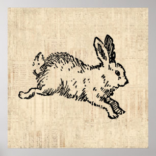 Poster Cute Bunny Rabbit Vintage Illustration Script Art