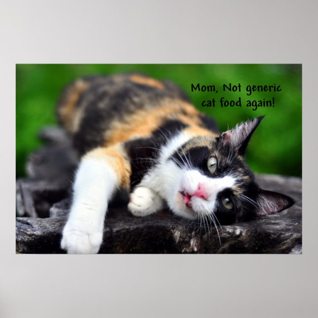 Poster Cute Calico Chat, "Pas de nourriture Générique de  (Devant)