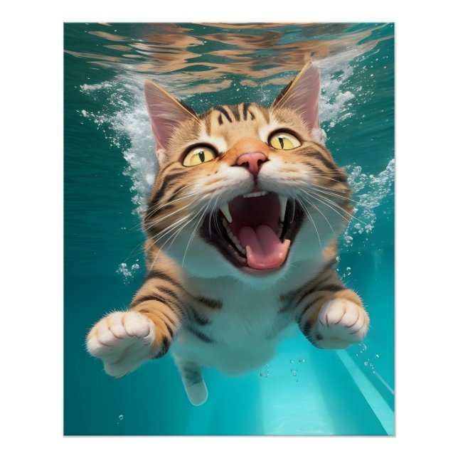 Poster Cute Chat Plongée sous l'eau dans la piscine Amusa (Devant)