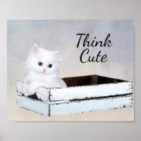 Cute chaton persan blanc