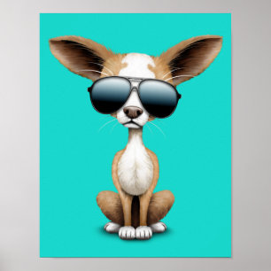 Poster Cute Chihuahua Chiot portant des lunettes de solei