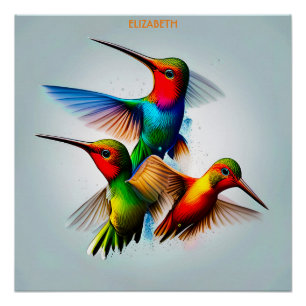 Poster Cute Colibri Rusty Imaginaire Vintage Cute Colibri