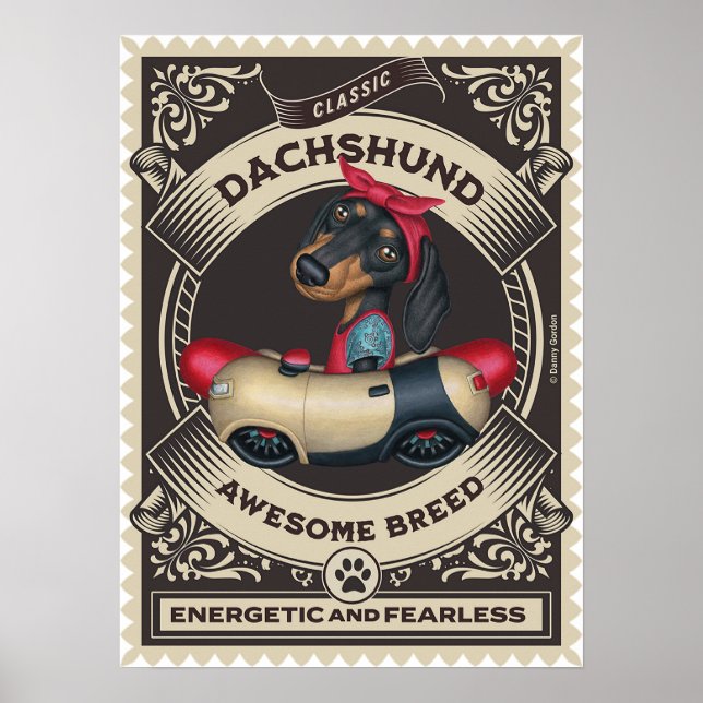 Poster Cute Dachshund en voiture en forme de saucisse (Devant)