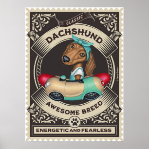 Poster Cute Dachshund en voiture en forme de saucisse