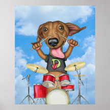 Cute Dachshund Jouer Des Tambours
