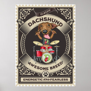 Poster Cute Dachshund Jouer Des Tambours