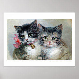 Poster Cute et Cuter, chatons adorables,