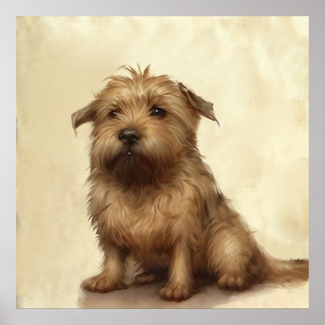 Poster Cute Fluffy Norfolk Terrier Art (Devant)