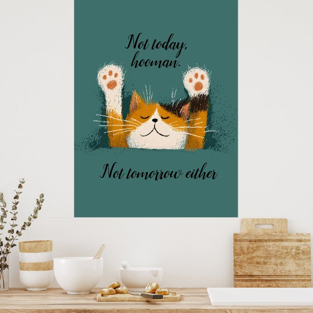 Poster Cute Funny Cat Nap (Cuisine)