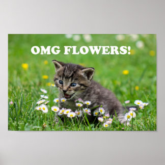 Poster Cute Funny Kitten Fleurs Amoureuses