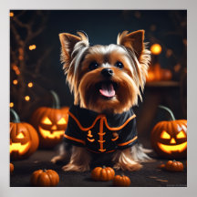 Cute Halloween Yorkshire Terrier Chien Chien Chien